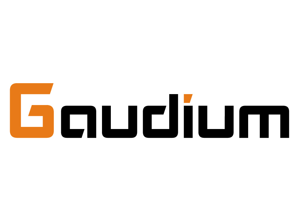 Gaudium, Inc. - Company Profile